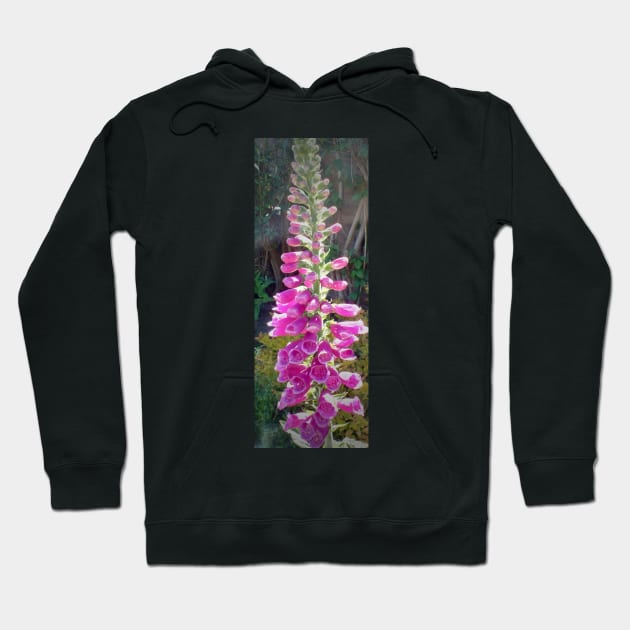 English Foxglove Hoodie by Alchemia